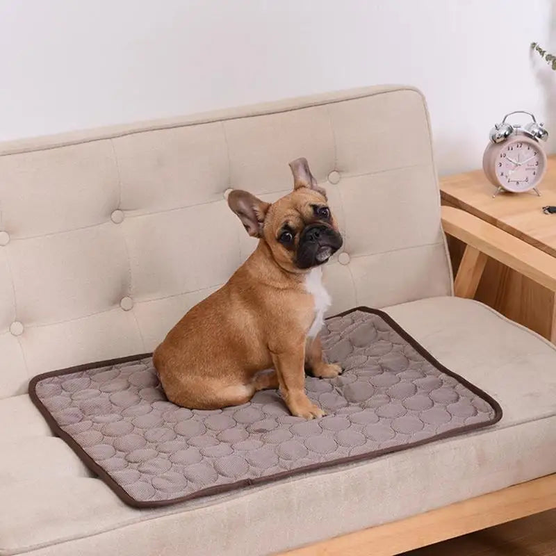 Snowy & Hope Cooling Pet Mat