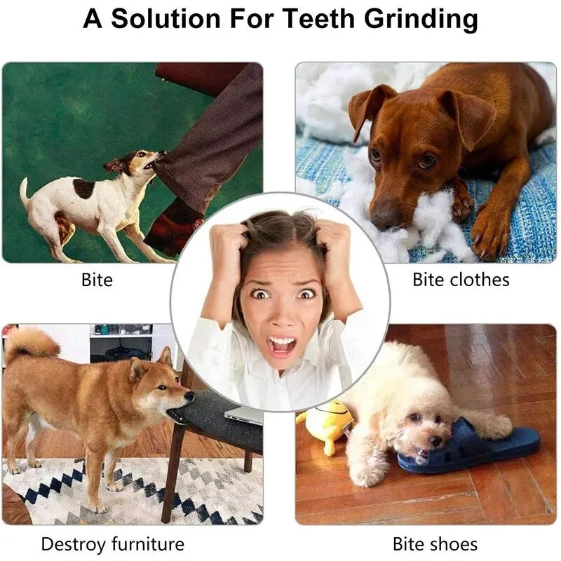 Snowy & Hope Treat-Dispensing Chew Ball
