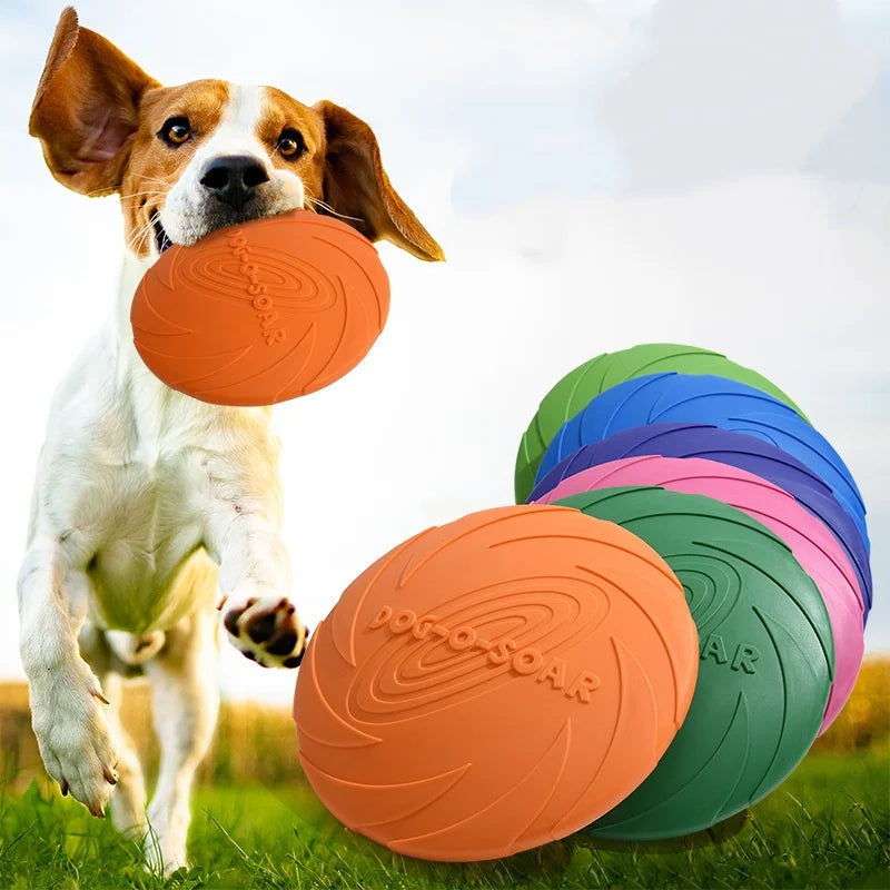 Snowy & Hope Silicone Flying Disc