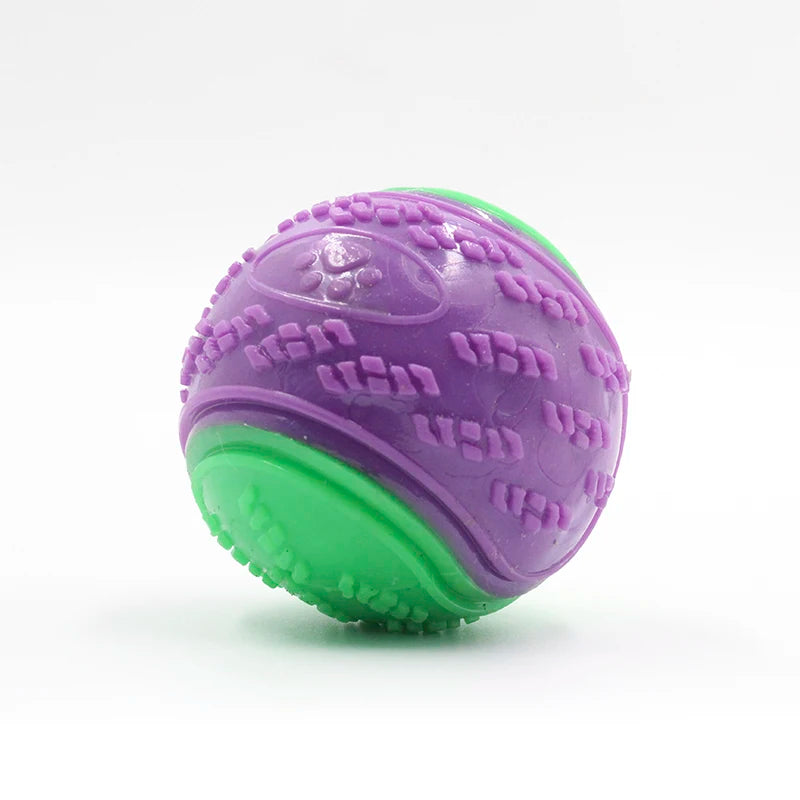 Snowy & Hope TPR Squeaky Dog Ball