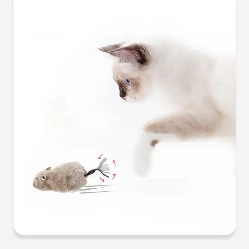 Snowy & Hope Running Mouse Chase Toy