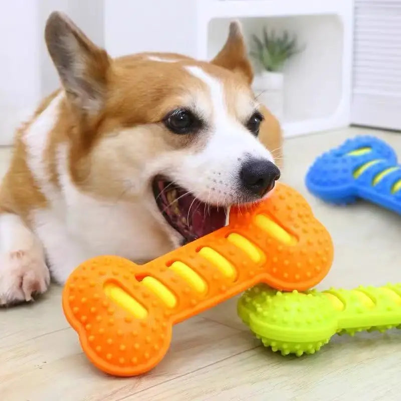 Snowy & Hope Rubber Bone Chew Toy