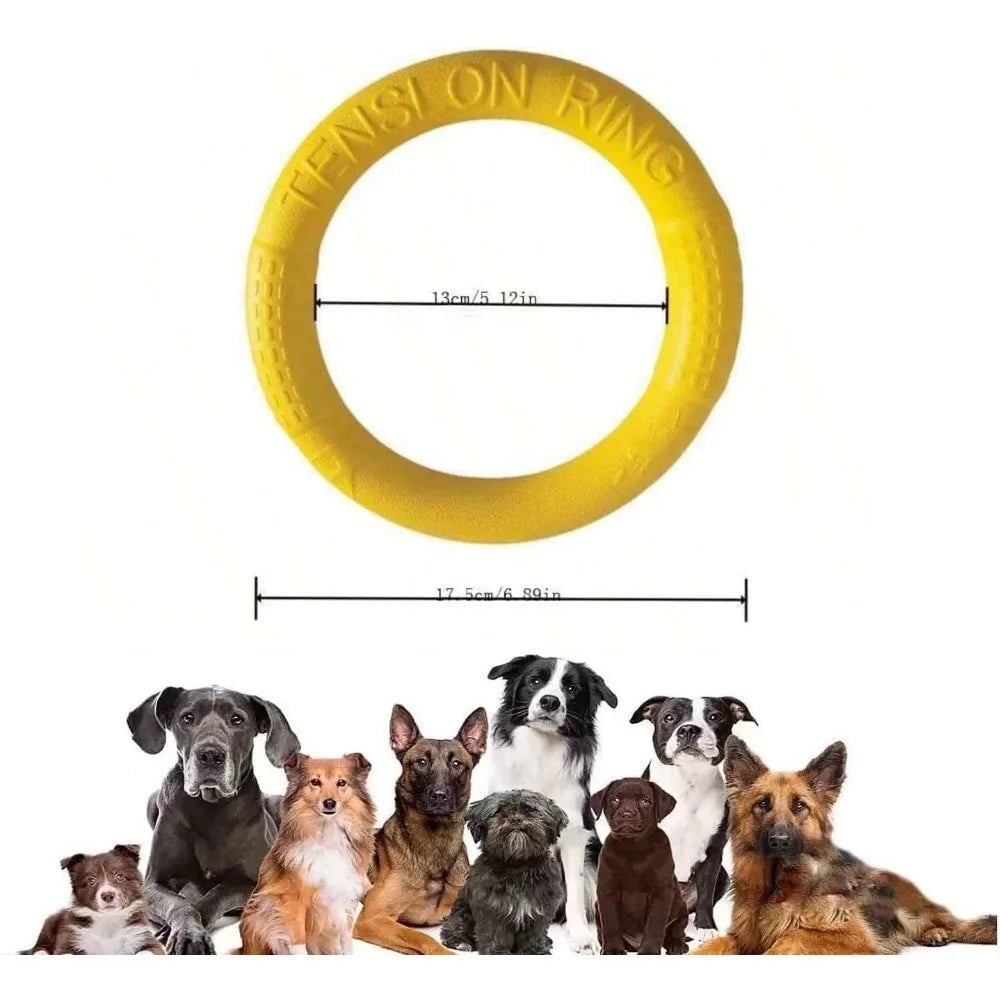 Snowy & Hope Floating Dog Training Ring