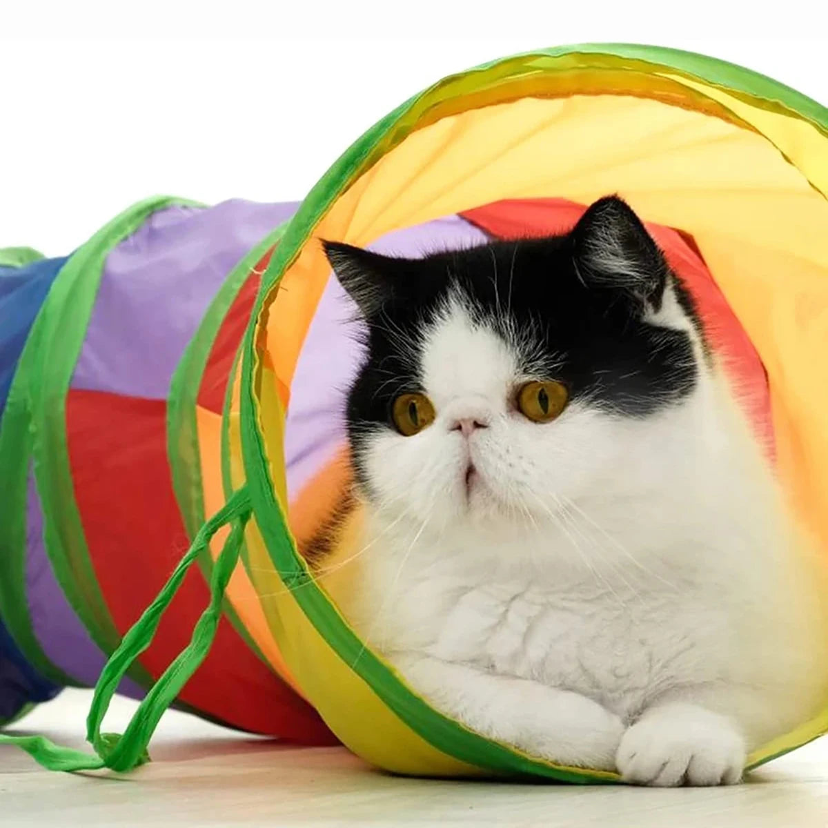Snowy & Hope Foldable Cat Play Tunnel