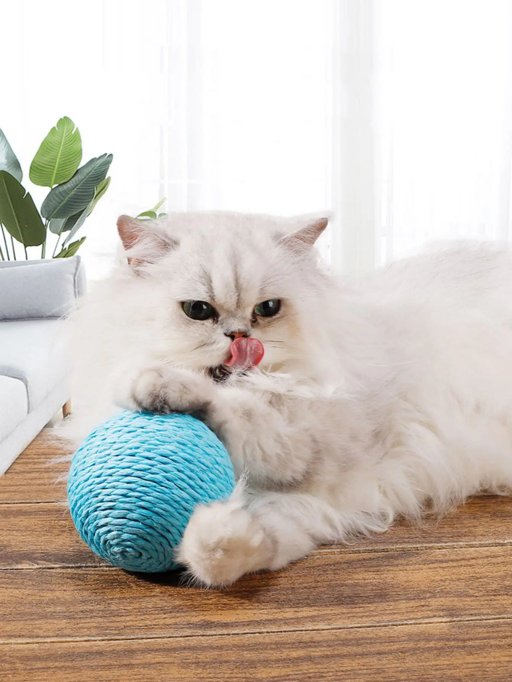 Snowy & Hope Sisal Scratching Ball