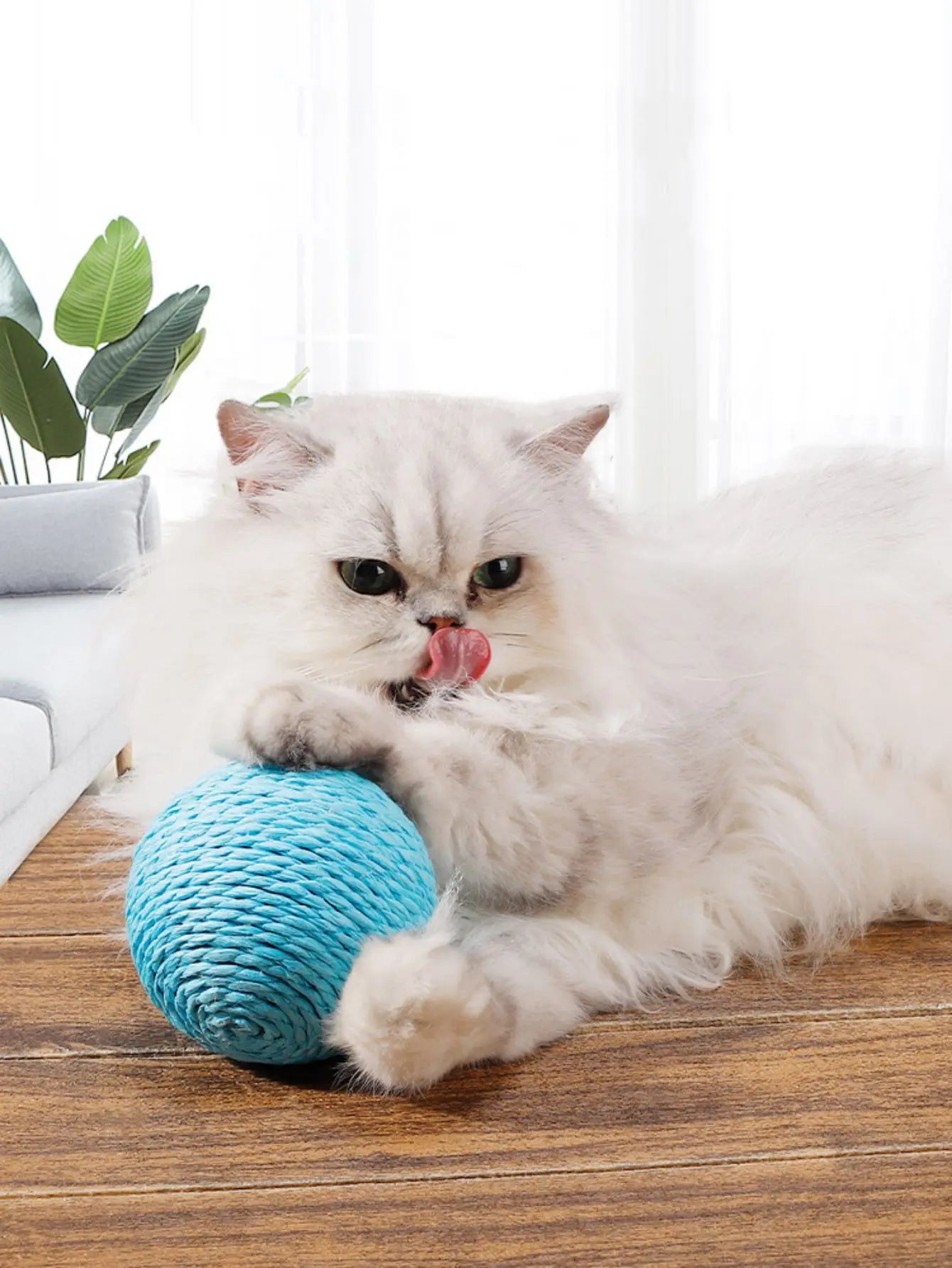 Snowy & Hope Sisal Scratching Ball