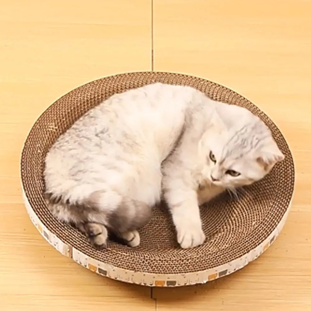 Snowy & Hope Cat Scratcher Bed