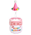 Pet Party Hat for Stuffed Animals Pet Birthday Hats Dogs Cats Rabbits Puppies Party also Goose Outfits Cement Plastic Duck Decor