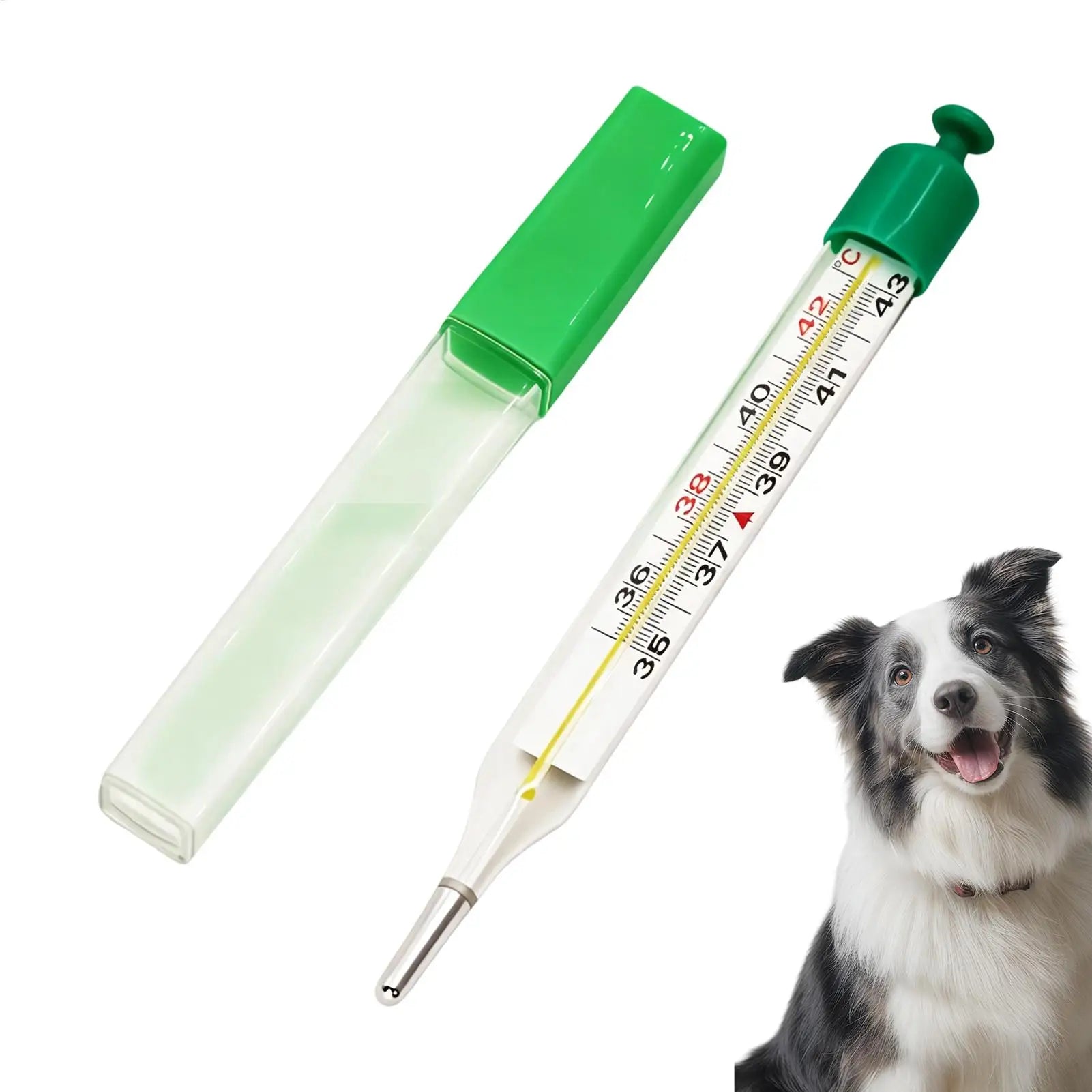 Pet Thermometer with Stretch Cord & Tail Clip Veterinary Temperature Sensor for Dogs Cats Horses Cattle Sheep Farm Livestock