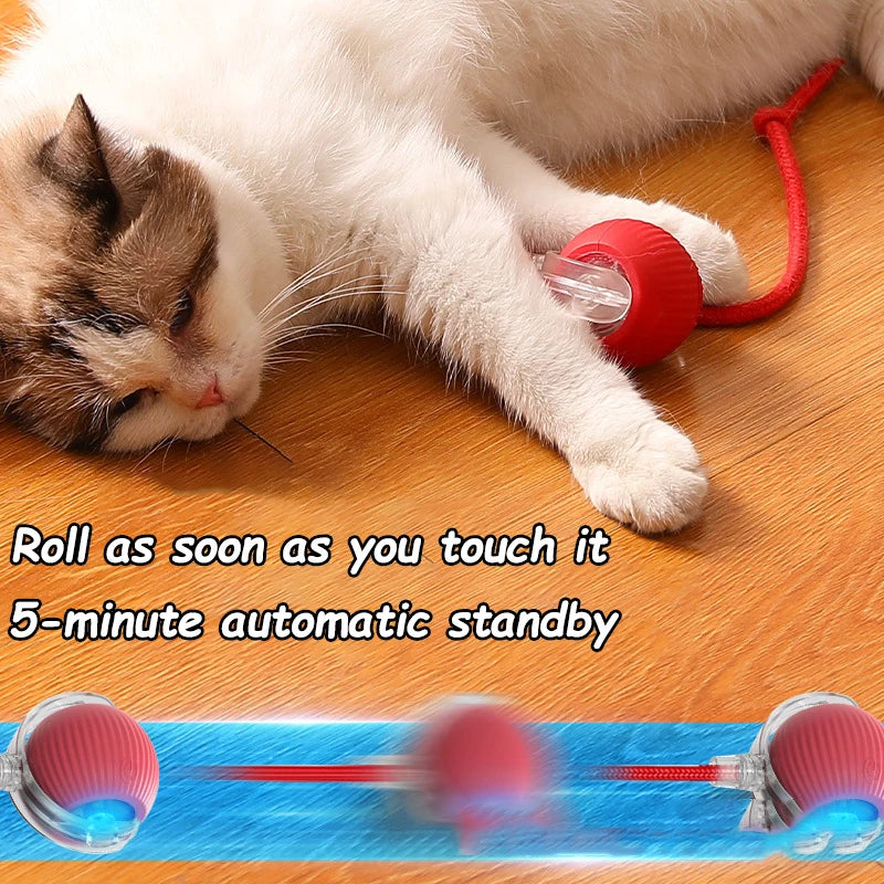 Snowy & Hope Smart Rolling Cat Ball