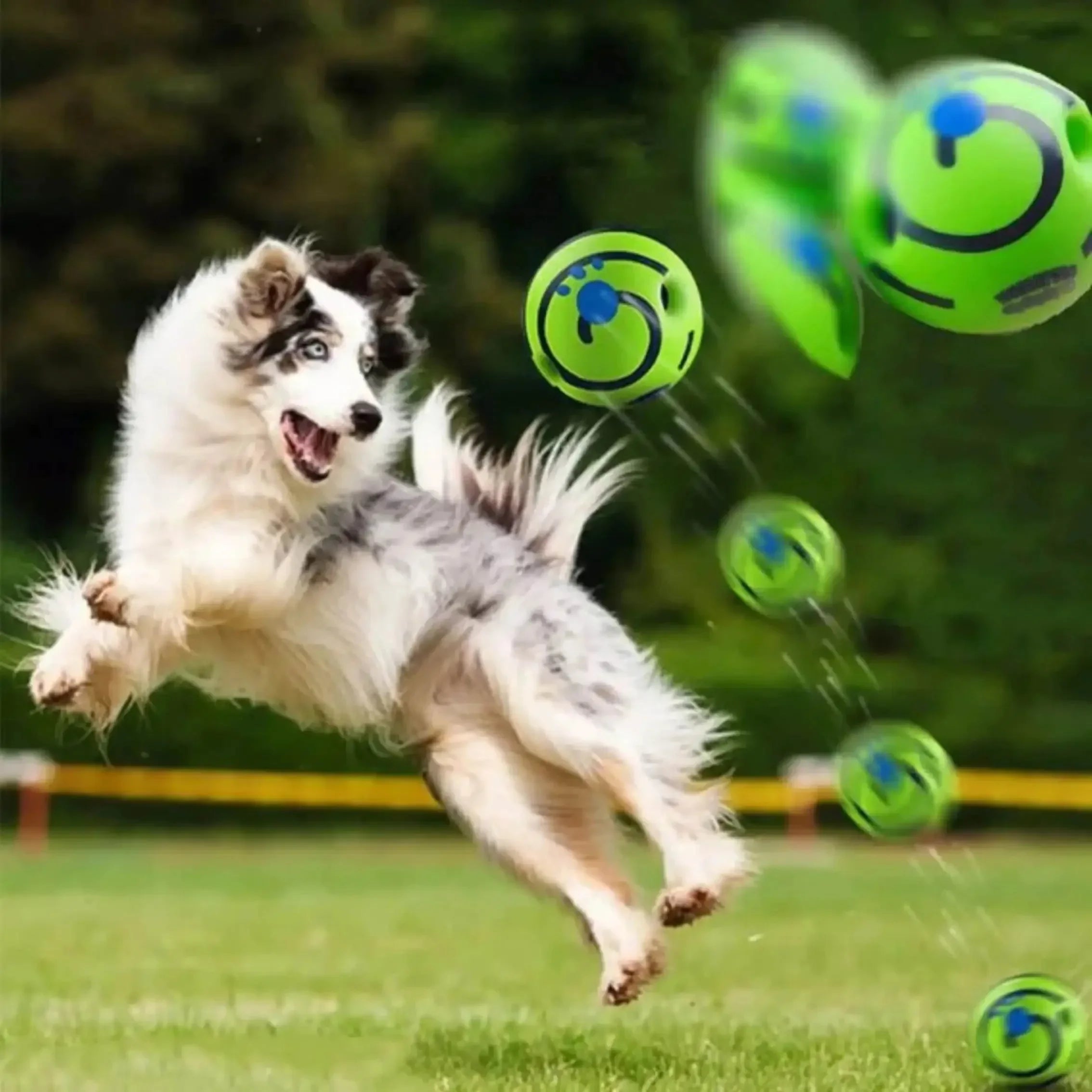 Snowy & Hope Interactive Giggle Dog Ball