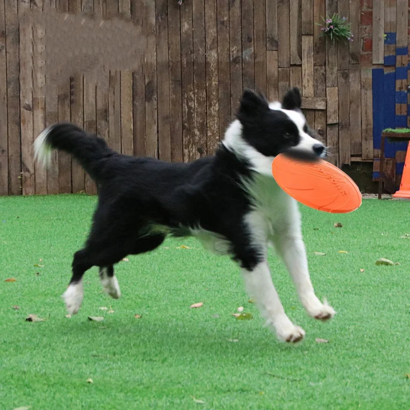 Snowy & Hope Silicone Flying Disc
