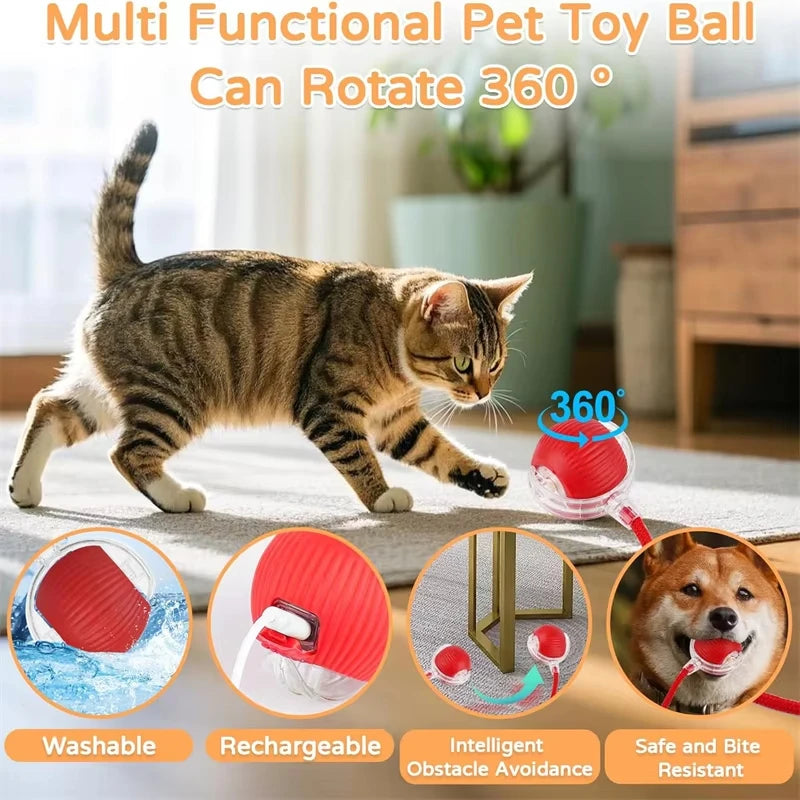 Snowy & Hope Smart Rolling Cat Ball
