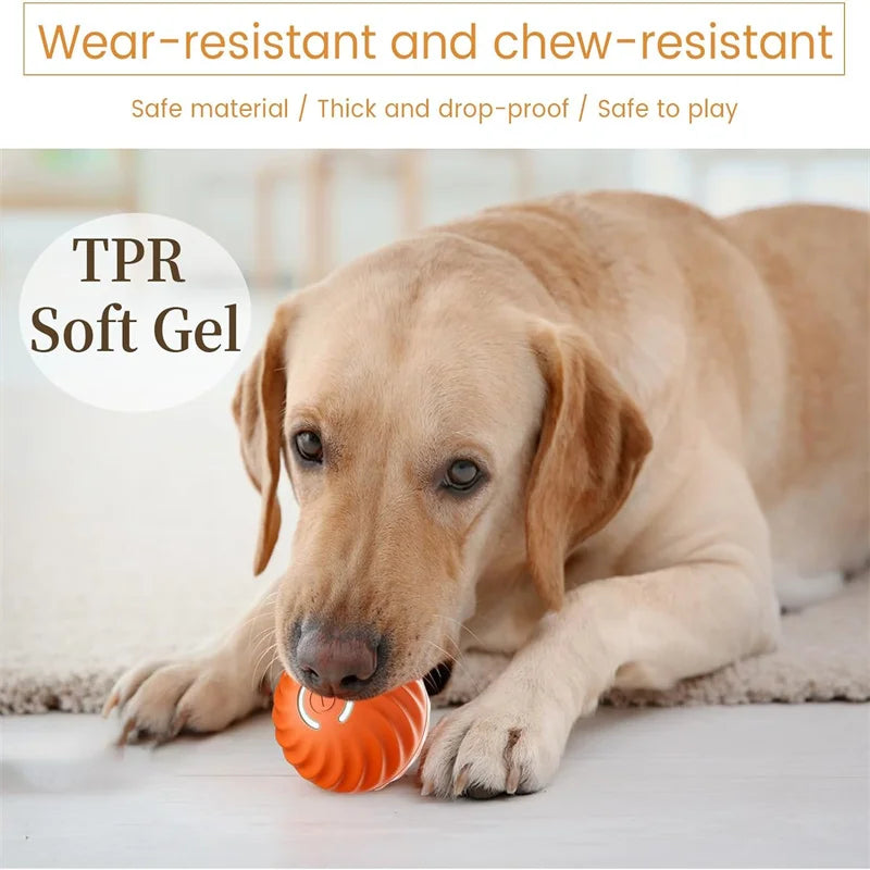 Snowy & Hope Smart Interactive Pet Ball