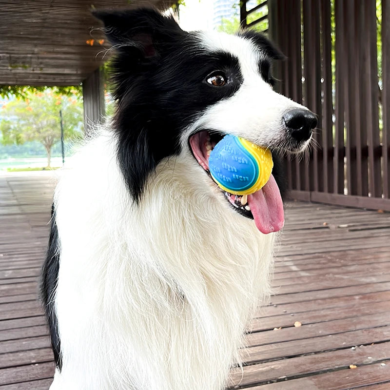 Snowy & Hope TPR Squeaky Dog Ball