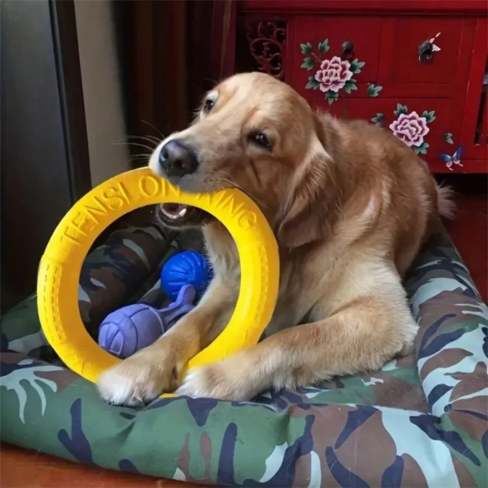 Snowy & Hope Floating Dog Training Ring