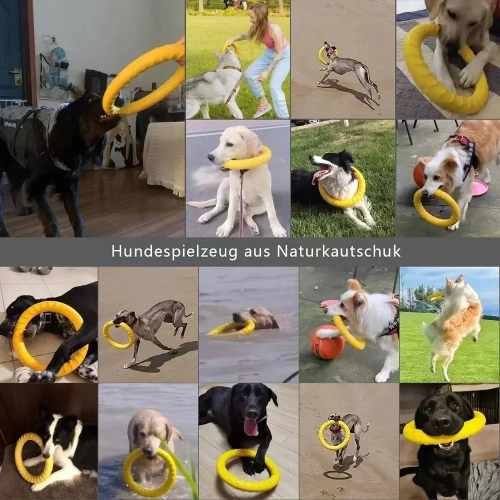 Snowy & Hope Floating Dog Training Ring