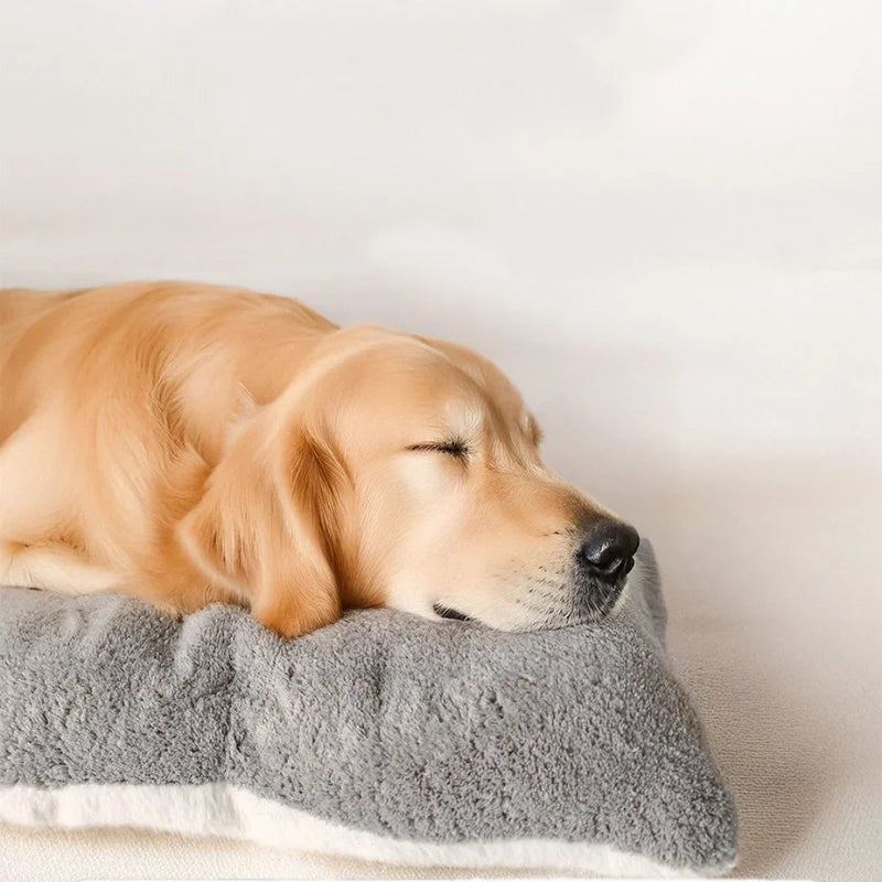Snowy & Hope Extra-Large Plush Dog Bed