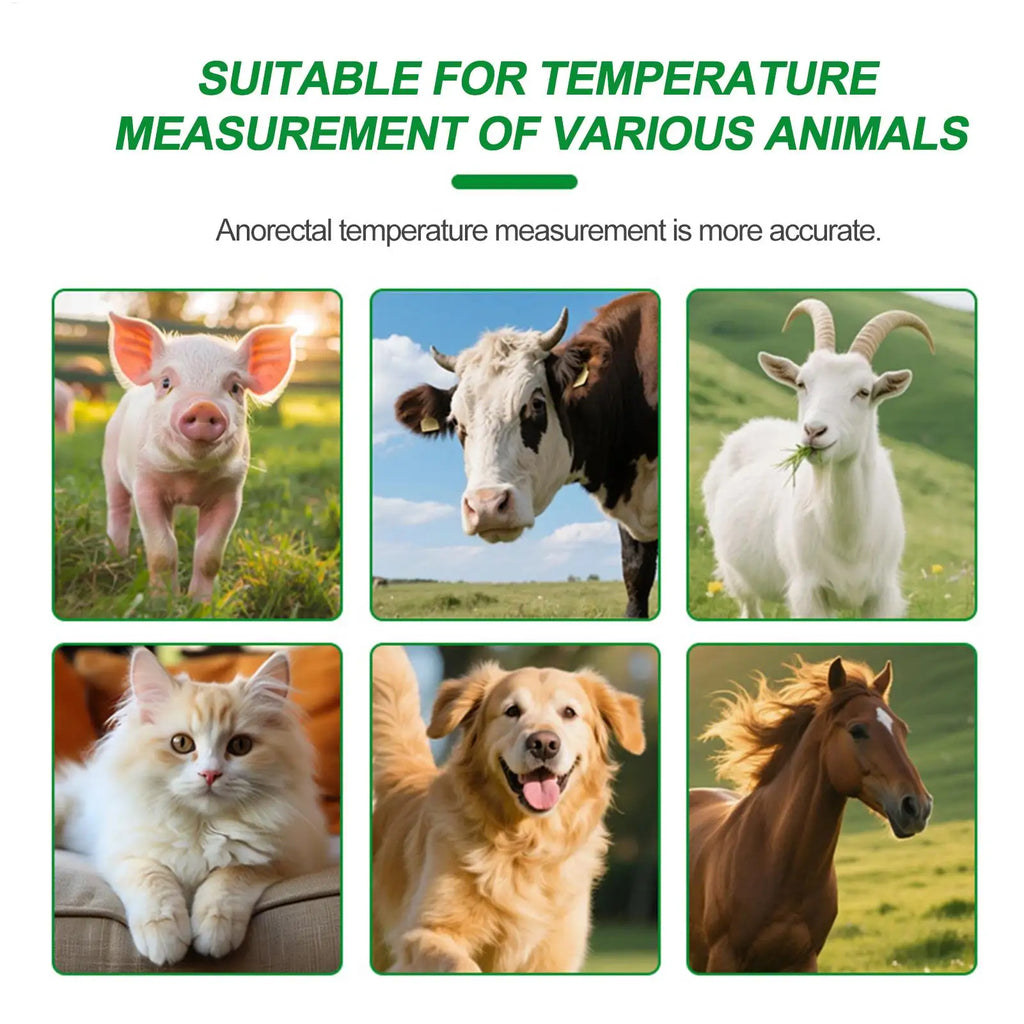 Pet Thermometer with Stretch Cord & Tail Clip Veterinary Temperature Sensor for Dogs Cats Horses Cattle Sheep Farm Livestock