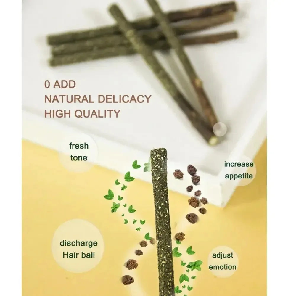 Snowy & Hope Silvervine Chew Stick Set