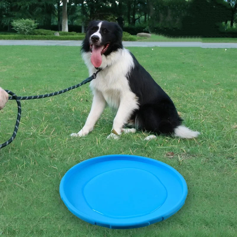 Snowy & Hope Silicone Flying Disc