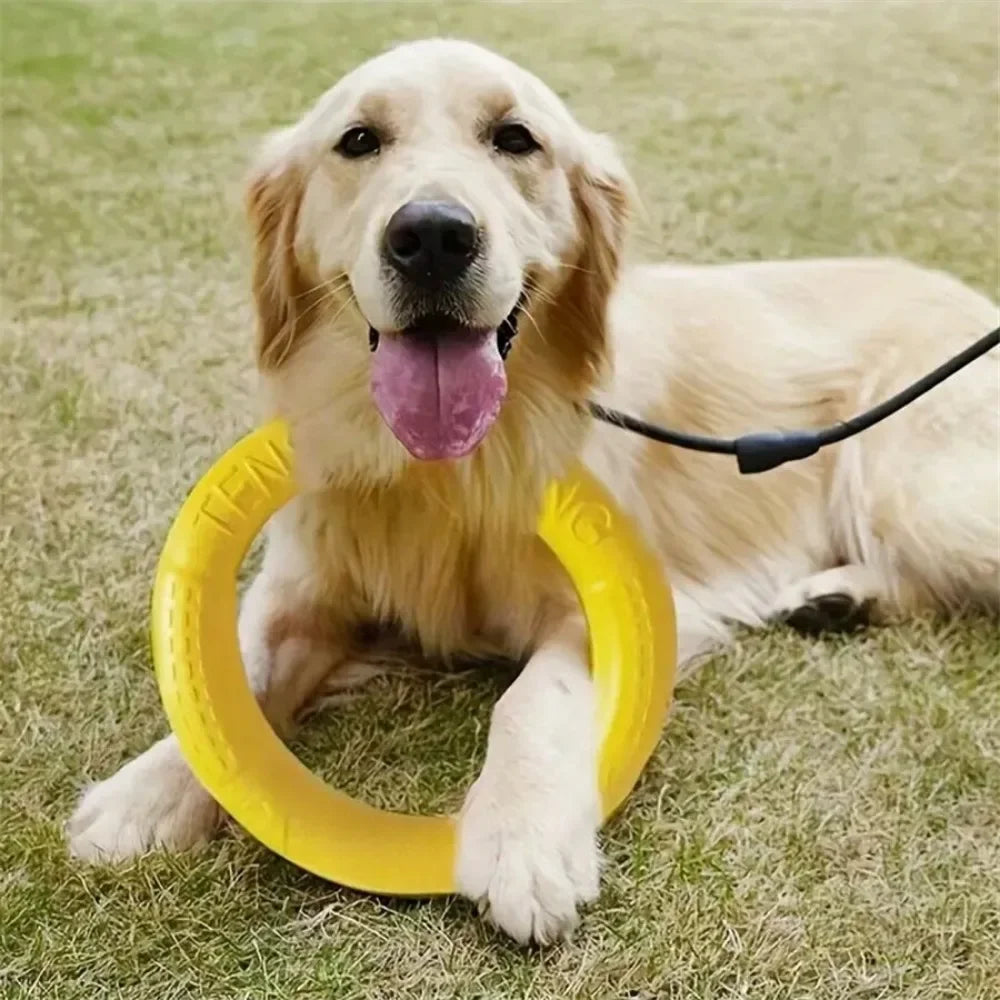 Snowy & Hope Floating Dog Training Ring
