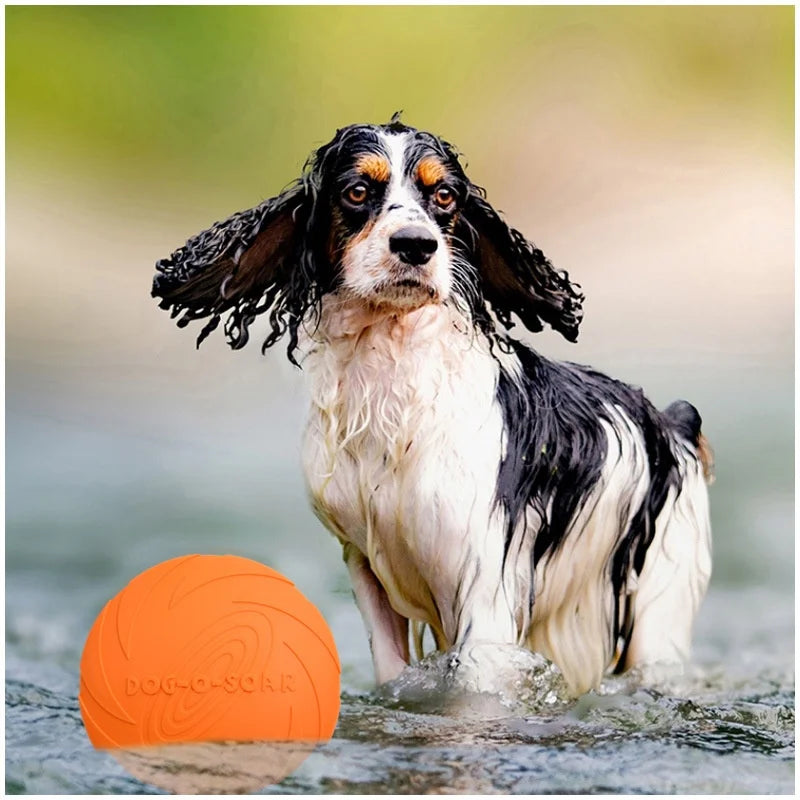 Snowy & Hope Silicone Flying Disc