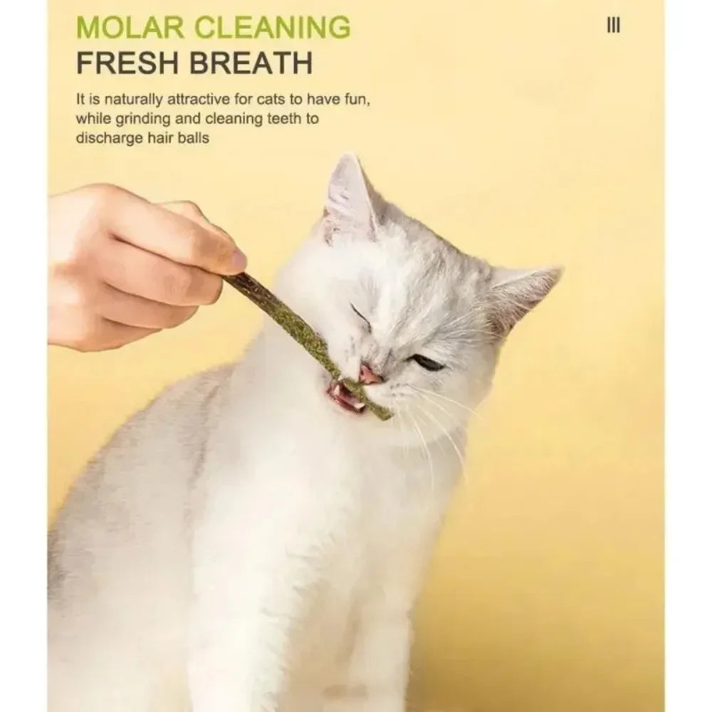 Snowy & Hope Silvervine Chew Stick Set