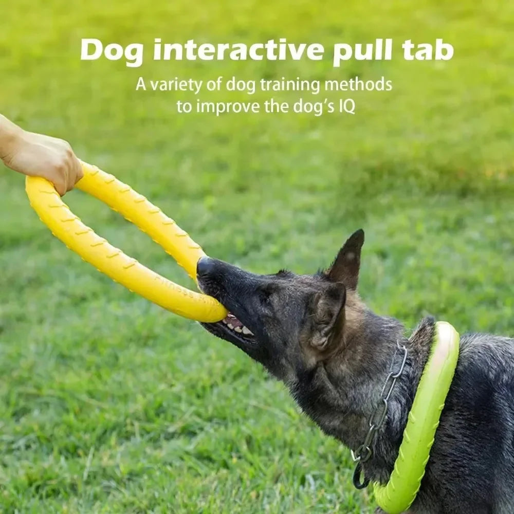 Snowy & Hope Floating Dog Training Ring