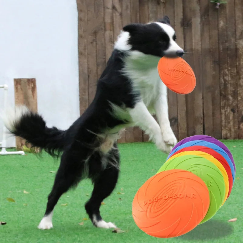 Snowy & Hope Silicone Flying Disc