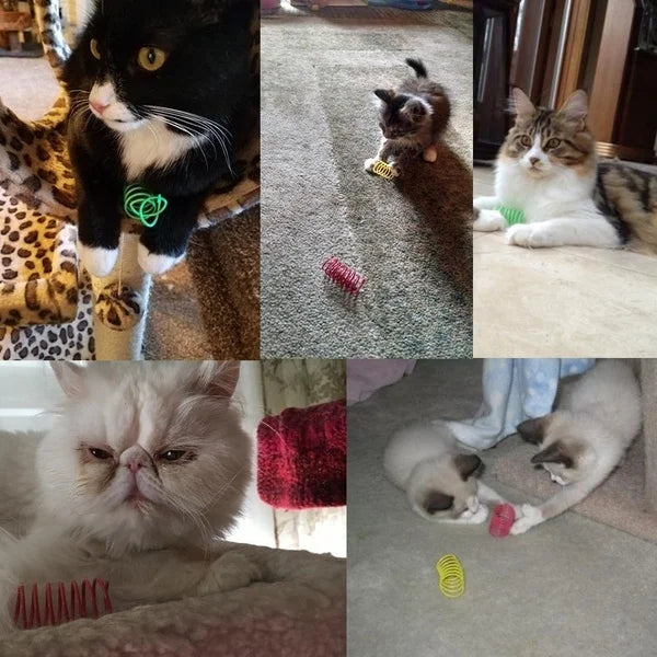 Snowy & Hope Colourful Cat Spring Set